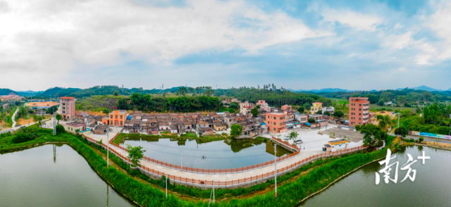 和美乡村看高明！&ldquo;枫景线&rdquo;在乡野大地绽放新光彩丨平安村（社区）专题报道⑭