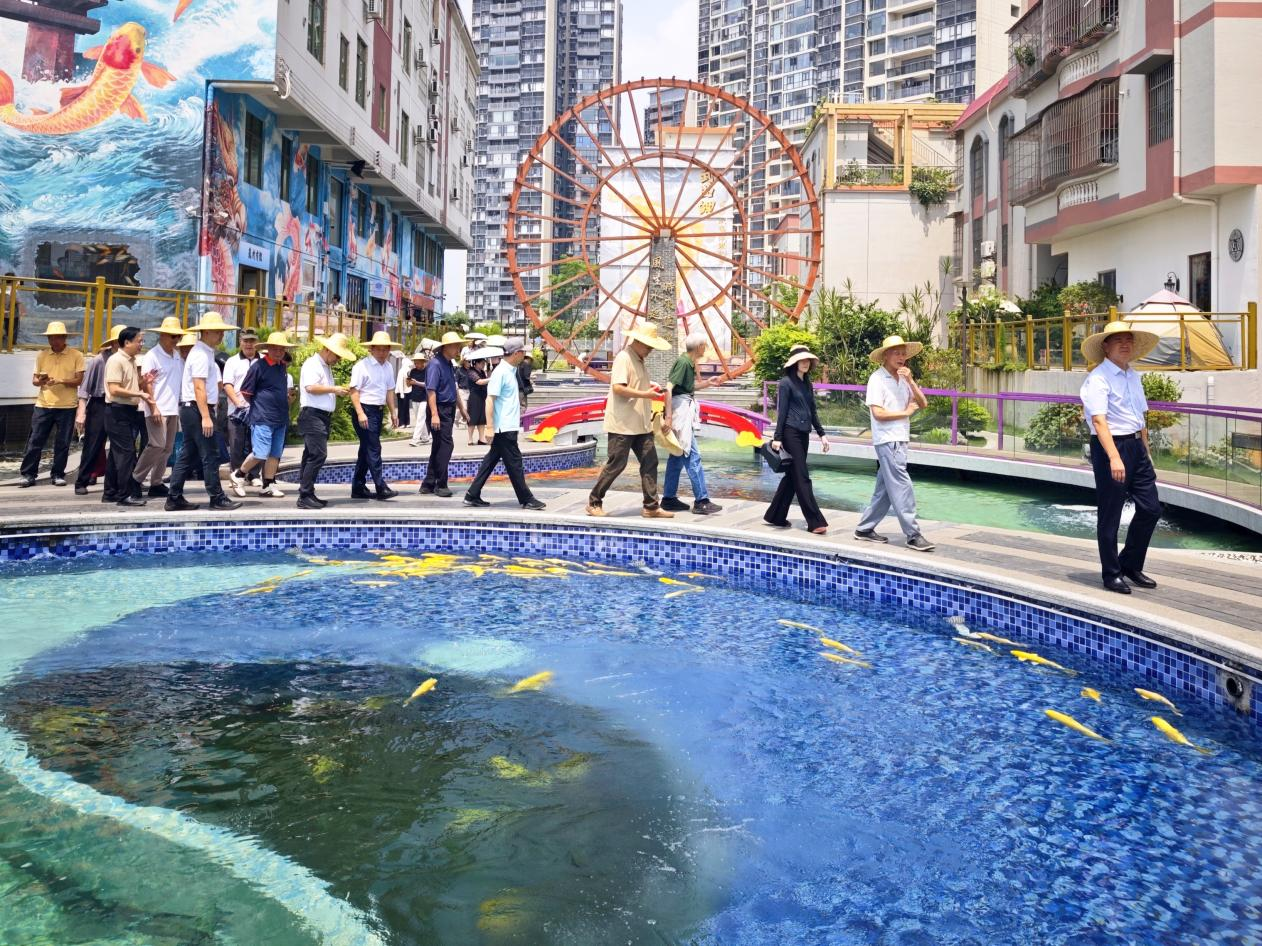 佛山组织市级老干部调研环两江建设 银发同心赋能佛山高质量发展